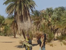 Sudan