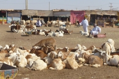 Sudan