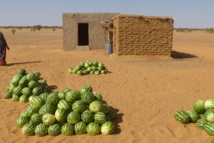 Sudan