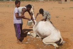 Sudan