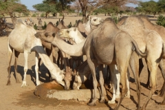 Sudan