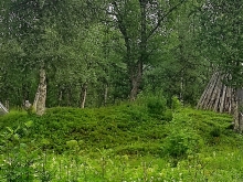 Svezia