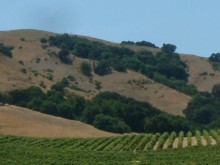 California