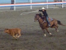 USA parchi