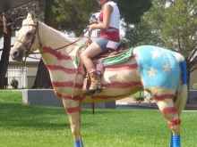 USA parchi