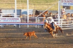 USA parchi
