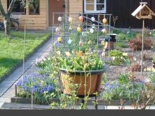 image28