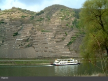 La Valle della Mosella