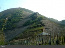 La Valle della Mosella