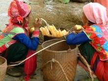 Yunnan