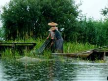 Yunnan
