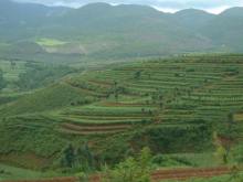 Yunnan