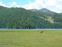 Yunnan