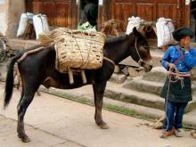 Yunnan