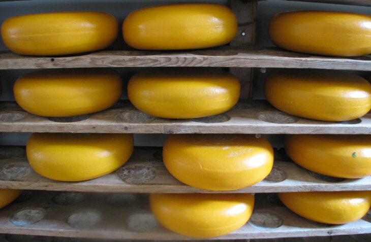 gouda