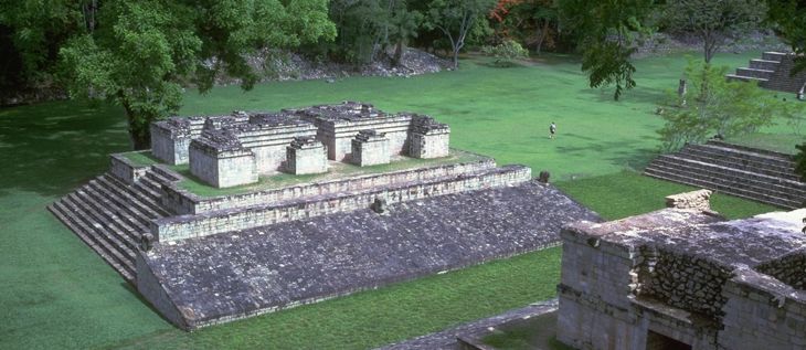 mex5