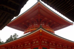 Giappone
