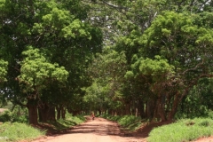 Mozambico