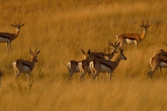 Namibia
