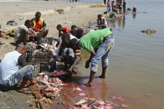 Omo River Etiopia