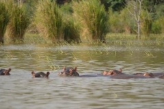 Omo River Etiopia