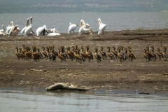 Omo River Etiopia