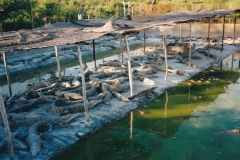 Omo River Etiopia