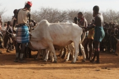 Omo River Etiopia