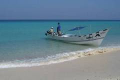 Socotra
