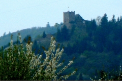 La Valle della Mosella