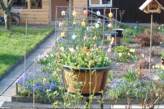image28