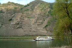 La Valle della Mosella