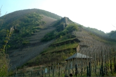 La Valle della Mosella