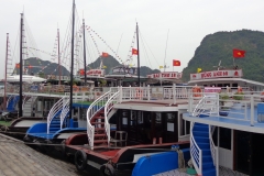4-ho-lon